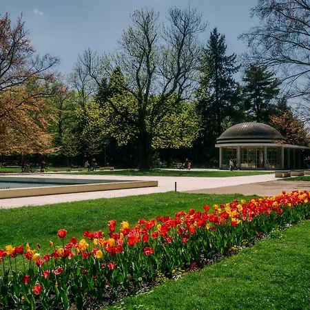 Slunce Poděbrady